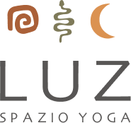 Logo Luz