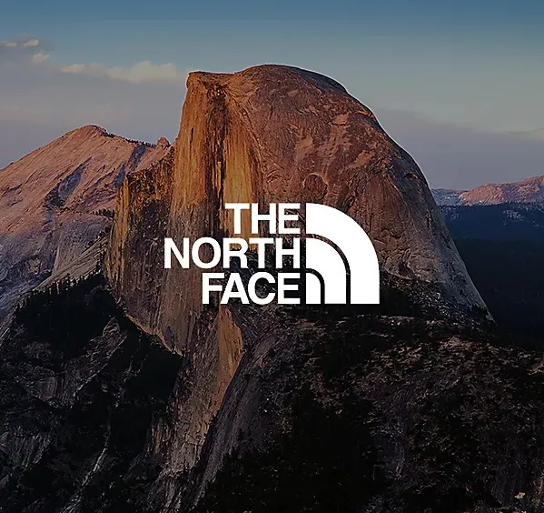 Il logo mai aggiornato, The North Face
